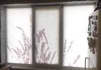 Рулонные шторы с фотопечатью, фоторолеты